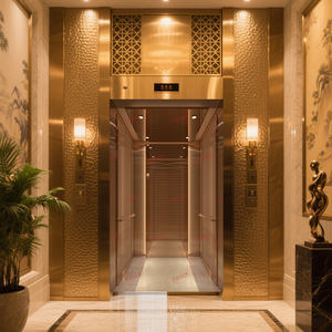 यात्री लिफ्ट आवासीय लिफ्ट 450 किलोग्राम-1600 किलोग्राम लोड मशीन-रूम-लेस अपार्टमेंट लिफ्ट आवासीय मॉल स्कूल कार्यालय होटल - Product Image 4