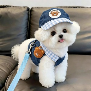 Conjunto de Arnés de Mezclilla de Lujo para Perros, Modelo 2026, con Lindo Sombrero para el Sol y Correa para Paseos al Aire Libre - Product Image 1