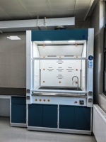 Hotte de laboratoire Baitu EN14175-4 à chargement latéral, entièrement en acier, à faibles coûts d'entretien, pour universités et instituts de recherche GMP