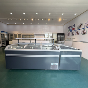 Congelador Horizontal Curvo de Vidrio Deslizante con Refrigerante R 290 y Estante Central para Supermercado, Carne Congelada, <span class=keywords><strong>Dumplings</strong></span> y Mariscos - Product Image 2