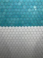 Carrelage de sol en porcelaine mosaïque hexagonale classique blanc et noir 48x55,4 mm antidérapant, antibactérien, résistant à la chaleur, pour intérieur
