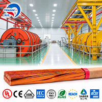 Kabel CTC Berinsulasi DMD 6641 Langsung dari Pabrik, Konduktor Terus-menerus untuk Proyek Jaringan Listrik Vietnam dan Indonesia
