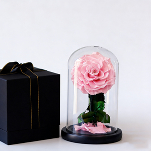 Rose éternelle sous cloche en verre, plusieurs tailles, cadeau pour la Saint-Valentin, Noë<span class=keywords><strong>l</strong></span>, décoration d'intérieur, ornement, directement <span class=keywords><strong>de</strong></span> <span class=keywords><strong>l</strong></span>'usine - Product Image 4