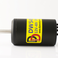 Moteur sous-marin haute puissance DD DW5490 12V 48V 90KV 120KV 200KV 300KV 350KV 400KV pour Rov/Scooter/Efoil/Hydrofoil