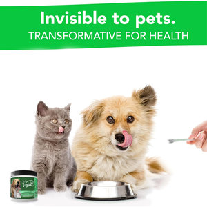 Probiotiques Miracle-Advanced pour chiens Prébiotiques spécifiques aux espèces Soulager la diarrhée Tabouret lâche Infections à levures Soutien immunitaire - Product Image 4