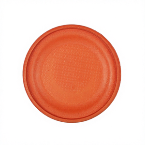 Disque volant en EVA de 23 cm, produit phare du fabricant 2025, jouet à mâcher pour chien de haute qualité, indestructible, pour <span class=keywords><strong>les</strong></span> jeux quotidiens de lancer et de récupération - Product Image 4