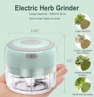 Hachoir à ail électrique portable de qualité alimentaire avec charge USB, lames en acier inoxydable et plastique PP
