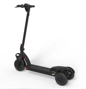 300w 250w Max.Speed 25km/H Tyre Size Front 9 Inch 8 Inch Brake Hydraulic System 3 Wheel Mopeds Stand Up Electric Scooter