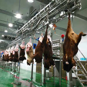 Perlengkapan Rumah Sembelih Ternak Halal, Abattoir Modern - Product Image 3