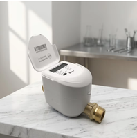 Compteur d'eau intelligent IoT à ultrasons, large plage dynamique 400:1, sans fil LoRa M-Bus RS485, lecture à distance, solution à batterie longue durée
