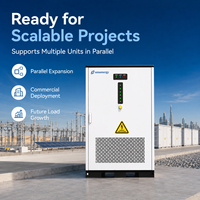 Gabinete de Almacenamiento de Energía Solar Diésel LiFePO4 de 125kW 241kWh para Campamentos de Construcción Africanos y Reducción de Pico de Carga en Sitios Comerciales