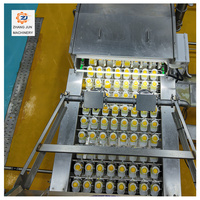 Ligne de transformation de liquide d'œuf clé en main avec système de nettoyage CIP et équipement de production d'œufs pasteurisés pour boulangerie