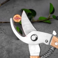 Cisailles de jardin à lames en acier, sécateur pour bonsaï, outil de greffage, cisailles de taille pour arbres et branches