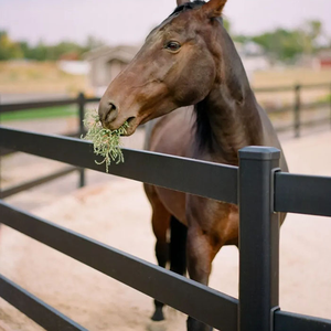 แผงรั้วคอกม้าแบบ 3 ราง ขนาด 6 ฟุต x 100 ฟุต สำหรับฟาร์มหรือที่เลี้ยงสัตว์ - Product Image 3