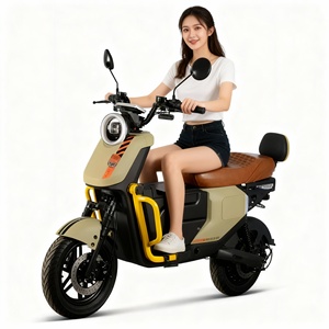 Tricycle haute vitesse 1500W, roues de 12 pouces, écran LED, 3 modes, vélo à moteur, personnalisation possible, performances haute vitesse 1000W - Product Image 5