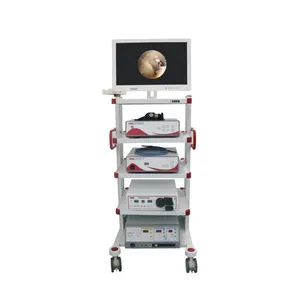 热卖完整的膀胱镜检查系统塔带内窥镜摄像机光源医疗级监视器