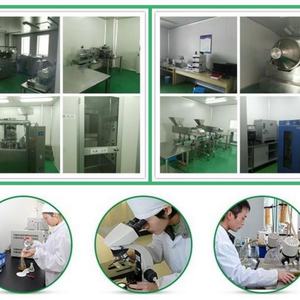 Gummies probiotiques quotidiennes extra-fortes OEM pour adultes, 5 milliards d'UFC pour hommes et femmes (non destiné aux femmes enceintes) - Product Image 6