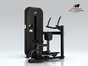 Équipement de <span class=keywords><strong>musculation</strong></span> pour salle de sport <span class=keywords><strong>Machine</strong></span> à torse rotative AGL1-11 équipement de fitness - Product Image 4
