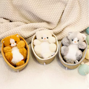 2024 vendita calda disegni popolari gatto peloso In cesto giocattoli di peluche peluche peluche giocattoli pezza gattino personalizzato per la decorazione della stanza - Product Image 3