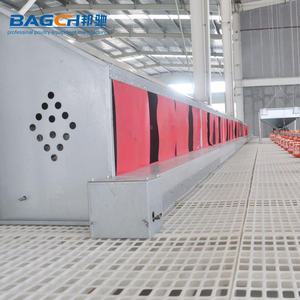 Nido Automático para Gallinas Ponedoras con Sistema de Recolección de Huevos, Gran Oferta - Product Image 5