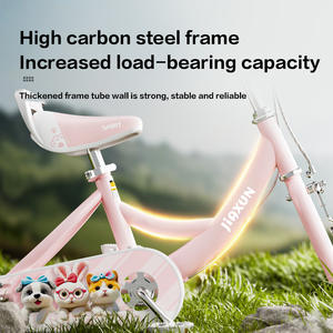 จักรยานเด็กสีชมพูเจ้าหญิง รุ่นทดลองใช้ฟรี สำหรับเด็กอายุ 3-12 ปี พร้อมที่นั่ง<span class=keywords><strong>ตุ๊กตา</strong></span> ความเร็วเดียว ตะกร้าพลาสติก คุณภาพสูง - Product Image 6