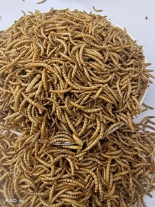 Tự nhiên đông lạnh mealworms số lượng lớn cho thức ăn vật nuôi & thủy Bait-Chim, thằn lằn, nhện, động vật Lưỡng Cư - Product Image 6