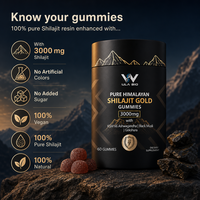 Gummies Hilajit Gold 60 unités, véganes, sans sucre ajouté, complément bien-être pour adultes, vente en gros, ODM