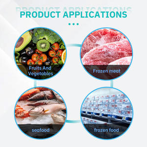 <span class=keywords><strong>Chambre</strong></span> <span class=keywords><strong>Froide</strong></span> Conteneurisée de 20 Pieds à Énergie Solaire, Stockage Frigorifique Portable pour Poissons, Viandes, Fruits et Légumes à Vendre - Product Image 6