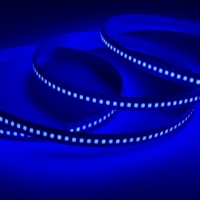 Bande LED SMD2835 12V/24V 14W 240D blanche, 240 LED, 10mm, haute densité, adhésive, découpable, IP20, cuivre