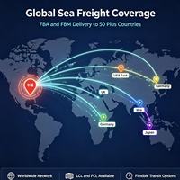 Service de logistique porte-à-porte FBA FBM, fret maritime plus livraison par camion, dédouanement et taxes inclus