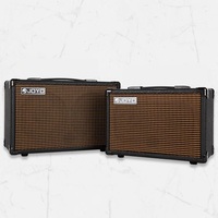 Amplificateur de guitare acoustique rechargeable de haute qualité, portable