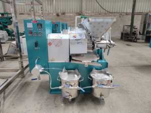 אבוקדו שמן עיתונות מכונה בישול מיני שמן ביצוע מכונת - Product Image 5