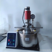 Venta de Fábrica: Reactor Químico Automático de Alta Presión con Motor, Capacidad de 500 ml, 220V
