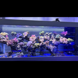 Groot formaat, dik, extra sterk, nieuw product, acryl, grote visbak, op maat gemaakt, te koop, <span class=keywords><strong>aquarium</strong></span> - Product Image 2