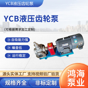 Ycb <b>Gear</b> <b>Pump</b> Ycb0.60.6 Cast Iron Electric Rotary Hydraulic <b>Oil</b> <b>Pump</b> - Product Image 5