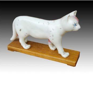 Gelsonlab HSBM-400 बिल्ली एक्यूपंक्चर मॉडल - Product Image 2