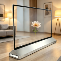 Panel de Pantalla OLED Transparente de 55 Pulgadas para Interiores, Comercios y Espacios Públicos, Animaciones, Uso en Metro, Función SDK, Pantalla Gráfica