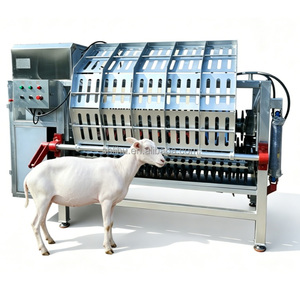 Máquina Automática de Escaldado y Desplumado de Acero Inoxidable para Cerdos, Cabras, Ganado y Aves de Corral - Product Image 1