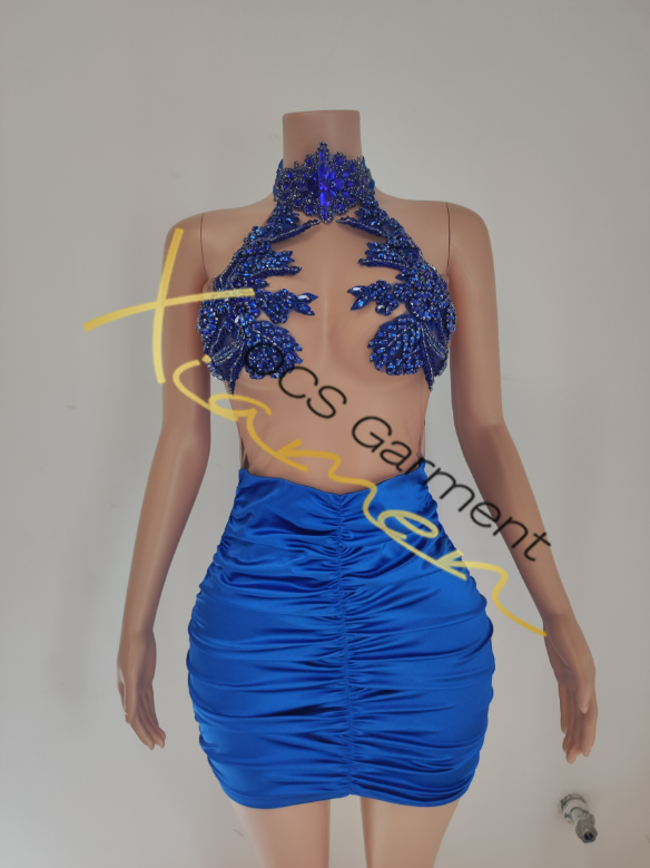 TH240202029 bleu
