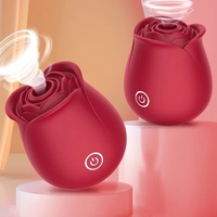 10 Saugdildos Erotikspielzeug Klitoris-Saugmassage Nippel-Rosen-Sauger Vibrator für Frauen