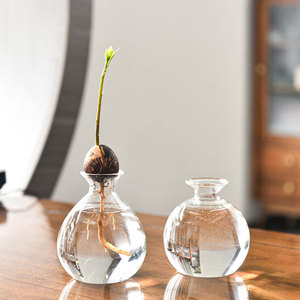 Tondo <span class=keywords><strong>in</strong></span> vetro trasparente da tavolo <span class=keywords><strong>di</strong></span> Avocado seme <span class=keywords><strong>di</strong></span> avviamento piantatrice idroponica pianta decorazione per la casa <span class=keywords><strong>vaso</strong></span> <span class=keywords><strong>di</strong></span> propagazione <span class=keywords><strong>vaso</strong></span> per la casa - Product Image 6