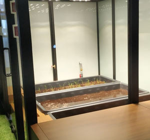 공장 공급업체 내구성 <span class=keywords><strong>500</strong></span>리터 PE 사각 식품 등급 LLDPE 플라스틱 어류 물탱크 수경재배 수족관용 - Product Image 5