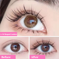 Extensions de cils en gros 0.07 C D Curl Spike Fairy, cils 3D en forme de A/M, faux cils naturels à auto-greffage