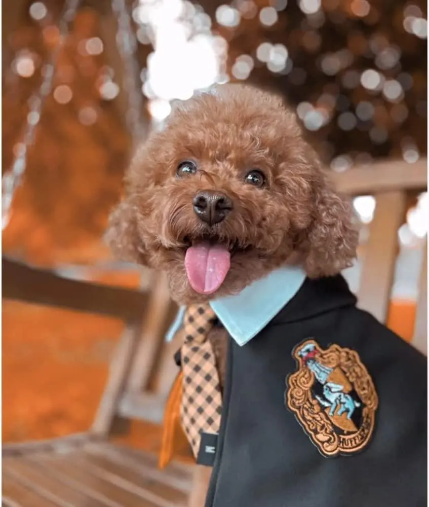 ZYZ PET Hunde kostüm Welpen Shirt Cosplay Kleid Outfit, Hunde bekleidung Zubehör, Hunde kleidung für kleine Hunde Cotton Funny