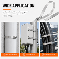 Attache-câble en acier inoxydable à verrouillage automatique résistant à la corrosion de qualité marine 304/316