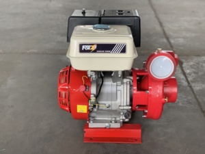Bomba <span class=keywords><strong>de</strong></span> Agua <span class=keywords><strong>de</strong></span> Hierro Económica con Motor <span class=keywords><strong>de</strong></span> <span class=keywords><strong>Gasolina</strong></span> <span class=keywords><strong>de</strong></span> Fábrica FSH <span class=keywords><strong>de</strong></span> 2 Pulgadas - Product Image 2