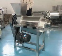 Commerciële Koude Pers Fruit En Groente Juicer Machine Restaurant Gebruikt Met Efficiënte Motor Kerncomponent