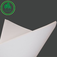 Papier offset crème 60gsm 70gsm 80gsm 98-102% de luminosité, très demandé pour l'impression de manuels scolaires sur le marché canadien