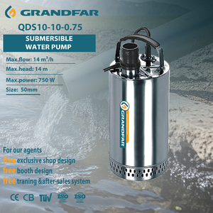 Grandfar 1HP 14M Head Stainless Steel <b>Small</b> Agricultural Irrigation Water <b>Pump</b> Copper Motor Deep Well Submersible QDS10-10-0.75 - Product Image 1