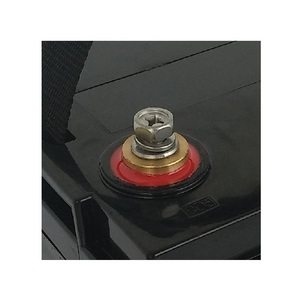 Pin Năng Lượng Mặt Trời 12V 100ah, Pin Lithium Ion 12V 100ah Solarfam 12V 100ah - Product Image 5